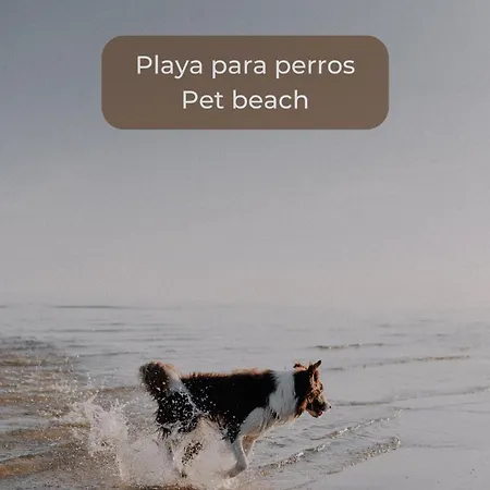 Basa Paradise - Piscina, Terraza, Wifi Y Parking Corralejo
