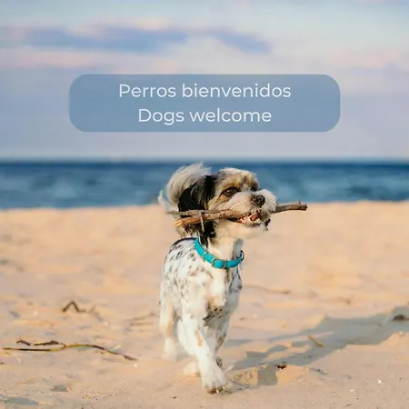 Basa Paradise - Piscina, Terraza, Wifi Y Parking Apartment *